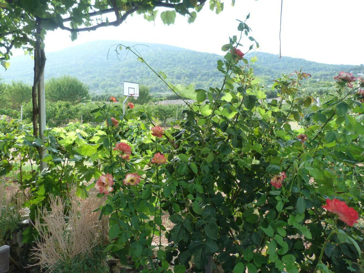 Country House Speedy Komiža Eksteriør billede